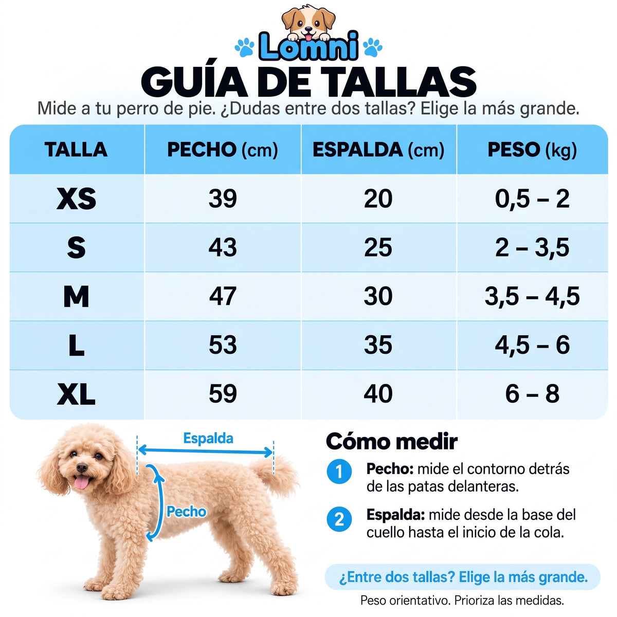 Impermeable 4 Patas: Tu Perro Seco y Visible