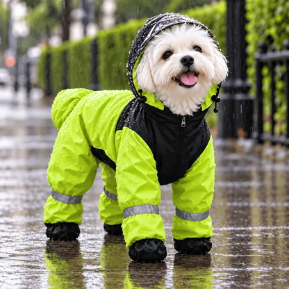 Impermeable 4 Patas: Tu Perro Seco y Visible