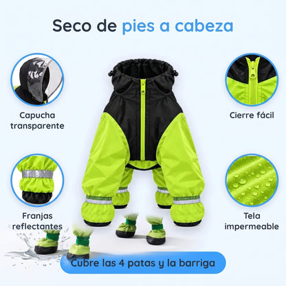 Impermeable 4 Patas: Tu Perro Seco y Visible