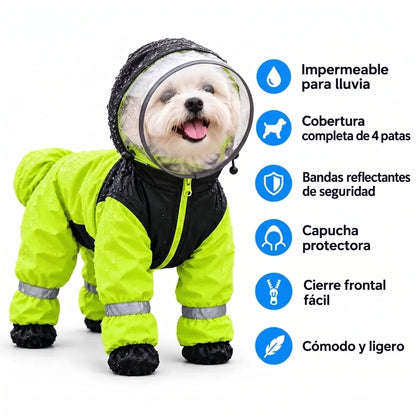 Impermeable 4 Patas: Tu Perro Seco y Visible